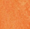 3241 - Orange sorbet