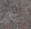 3421 - Oyster mountain