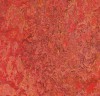 3416 - Fiery fantasy