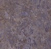 3422 - Lavender field