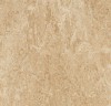 t2707 - Barley